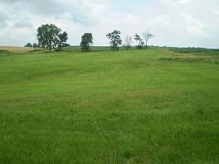 Property photo 5 - Home & Land Auction, Country Home with 5.29 Acres